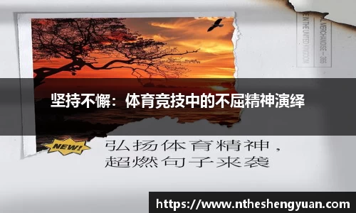 坚持不懈：体育竞技中的不屈精神演绎